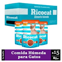 Pack Caja x15 Comida Húmeda Gatos Ricocat Filetito Pavo 85gr