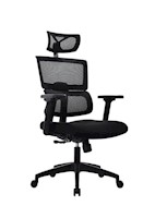 SILLA DE OFICINA ERGOCLASS CLASSER PRO - EJECUTIVA