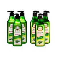 Shampoo + Aconcidionador Nevada 520ml 3 Pack