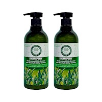 2 Shampoo De Té Verde 550Ml - Wokali