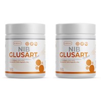 Colageno Hidrolizado con Glucosamina 550 gr Pack 2 Potes NibGlusart Premium