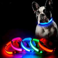 Collar LED para Mascotas Rojo Talla XL