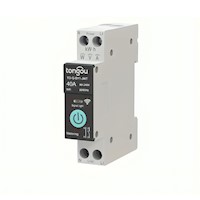 Interruptor Wi-Fi inteligente Tongou DIY 1P+N 40A