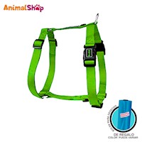 Arnes De Perro Forma De H Doco S Verde 40 A 55Cm Con Regalo