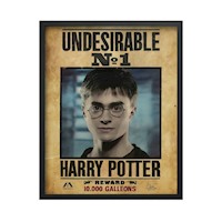 Cuadro 3d Decorativo De Harry Potter  Diseño Con Sirius Black