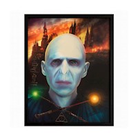 Cuadro 3d Con Movimiento  Harry Potter & Lord Voldemort