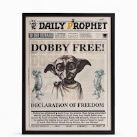 Cuadro 3d Con Movimiento  Dobby harry Potter  Decoración Mágica