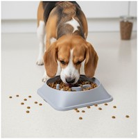 Plato Antiestrés para Mascotas Mejora Digestión Comedero Perros y Gatos