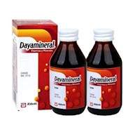 Pack x 2 Dayamineral Jarabe 240 ml vitaminas