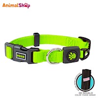 Collar De Perro Doco Ajustable M Verde 34 A 51Cm Con Regalo