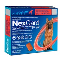 Antipulgas Perros Boehringer Nexgard Spectra XL 30-60kg 3Tab