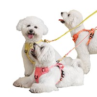 Set Pechera con correa y dispensador bolsas sanitarias mascotas Naranja