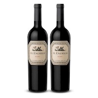 DUOPACK Vino tinto El Enemigo malbec, Argentina