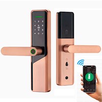 Cerradura Inteligente Chapa Smart Biometrica Digital Wifi Bronce X12