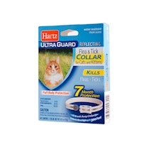 Collar Antipulgas Gatos y Gatitos Hartz Ultraguard +7meses
