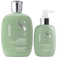 Shampoo Anticaída 250ml + Tónico Alfaparf Scalp Renew Hair Loss