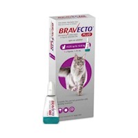 Pipeta Antipulgas para Gato Bravecto Plus 500mg 6,26-12.5kg