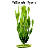 Planta  Plastico JUNGLE VALLISNERIA 8 pulgadas 20.3 cm Hagen