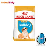 Comida De Perro Royal Canin Bhn Bulldog Cachorro X 3 Kg
