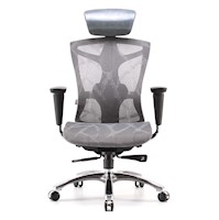 Silla Ergonómica Malmo Premium Gris Ofideas