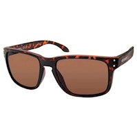 Lentes de Sol Hombres Harley-Davidson Marron