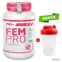 Proteína FEMPRO 1100GR FITFEM VAINILLA