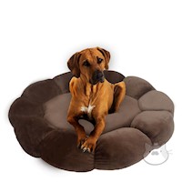 Cama Premium de Mascota Talla Grande L