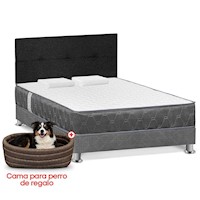 Juego de dormitorio Forli Acqua 2PLZ + Cama para perro