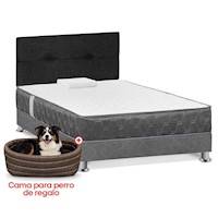 Juego de dormitorio Forli Acqua 1.5PLZ + Cama para perro