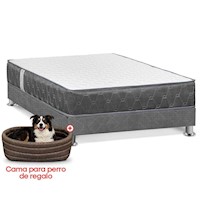 Cama Forli Acqua Americana 2PLZ + Cama para perro