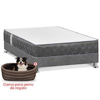Cama Forli Acqua Americana 1.5PLZ + Cama para perro