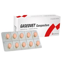Gaseovet Compositum 60 mg + 300 mg Cápsulas Blandas