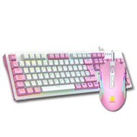 Kit Antryx Teclado Mecánico y Mouse GC-5400 Pink USB Swith Azul