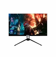 Monitor Gamer Teros TE-2412S 23.8" Ips Fhd 100Hz 1Ms