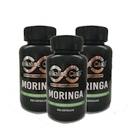 Moringa 300 Cápsulas Alkaline Care