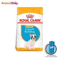 Comida Perro Royal Canin Bhn French Bulldog Cachorro X 10 Kg