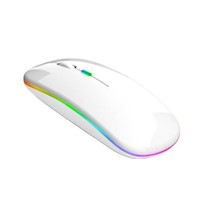 MOUSE INALÁMBRICO CON BATERÍA RECARGABLE CON LUCES LED - BLANCO