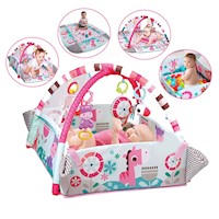 Gimnasio Ideal Musical 5 en 1 con Pelota