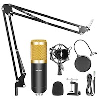 Kit Microfono Condensador Profesional con Brazo Soporte Antipop BM800U