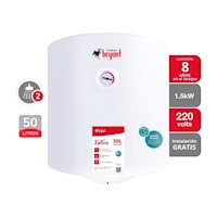 Terma Eléctrica Bryant Zafiro 50L Colgar 2 Puntos