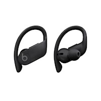 Beats Powerbeats Pro Wireless Earbuds Black