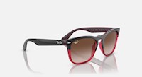 LENTES DE SOL RAYBAN STEVE RB4487/ COLOR: ROJO TRASLUCIDO