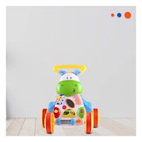 Caminante 2 en 1 Hipopotamo para Diversion y Movimiento en Casa Y+Ligas Regalo