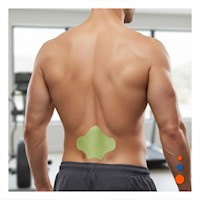 Combo 10 Parches Termicos Lumbar Verde Practicos Y+Regalo Sticker