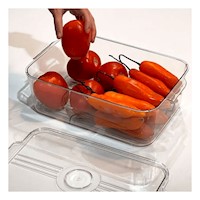 Bandeja Transparente Multiuso con Tapa Ovalada y Drenaje 30x16x11cm Y+Papel Regalo