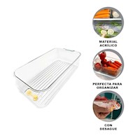 Contenedor con Asas para Trasladar Facil 30x16x10cm Transparente Y+Ligas Regalo