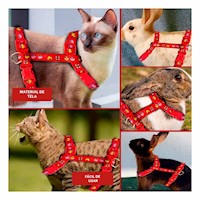 Sistema Ligero para Conejo y Gato Delgado Rojo Y+Ligas Regalo