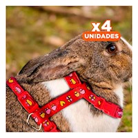 Pack4 Sistema Resistente para Conejo y Gato Delgado Rojo Y+Papel Regalo