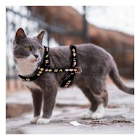 Sistema Ligero para Conejo y Gato Delgado Negro