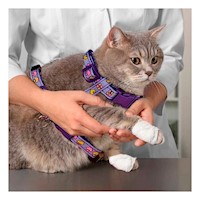 Arnes Resistente para Conejo y Gato Delgado Lila Y+Papel Regalo